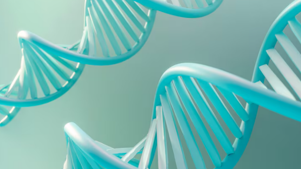 Учёные выявили новую форму редкого заболевания, связанную с геном UTRN Ученый сообщил об идентификации ранее неизвестн...