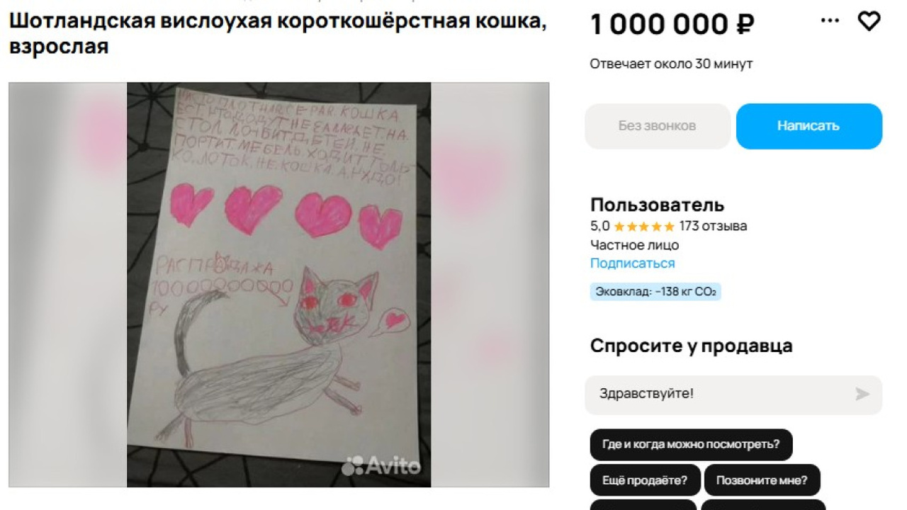 Детский рисунок вместо фото: самарец оценил кошку в миллион При этом обычная цена таких кошек - не выше 70 ...