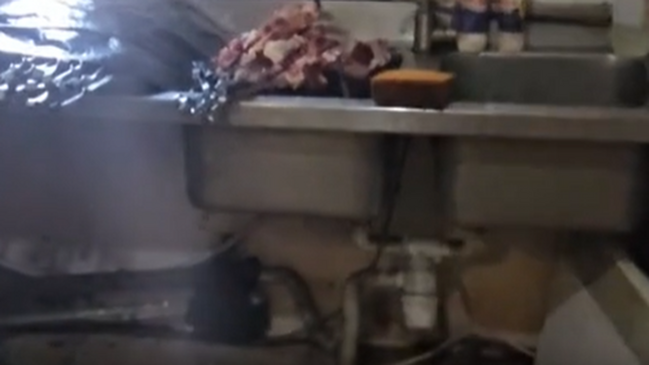 Сотрудниками МВД был найден ларек, в котором по мясу бегала крыса В одном из административных районов Самары был ...