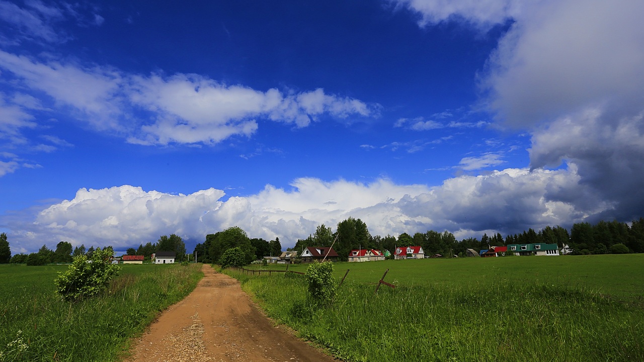Из незаконного владения возвращены земли, присв...
