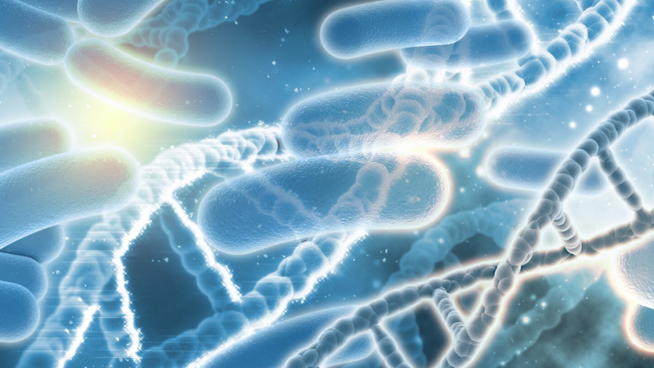 Бактерии из кимчи способны связывать нанопласти...