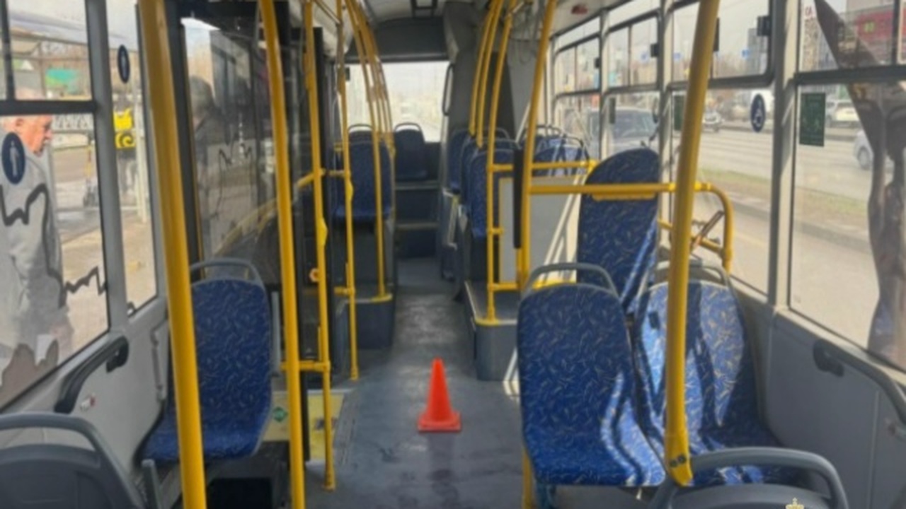 Инцидент произошел при движении автобуса по дуб...