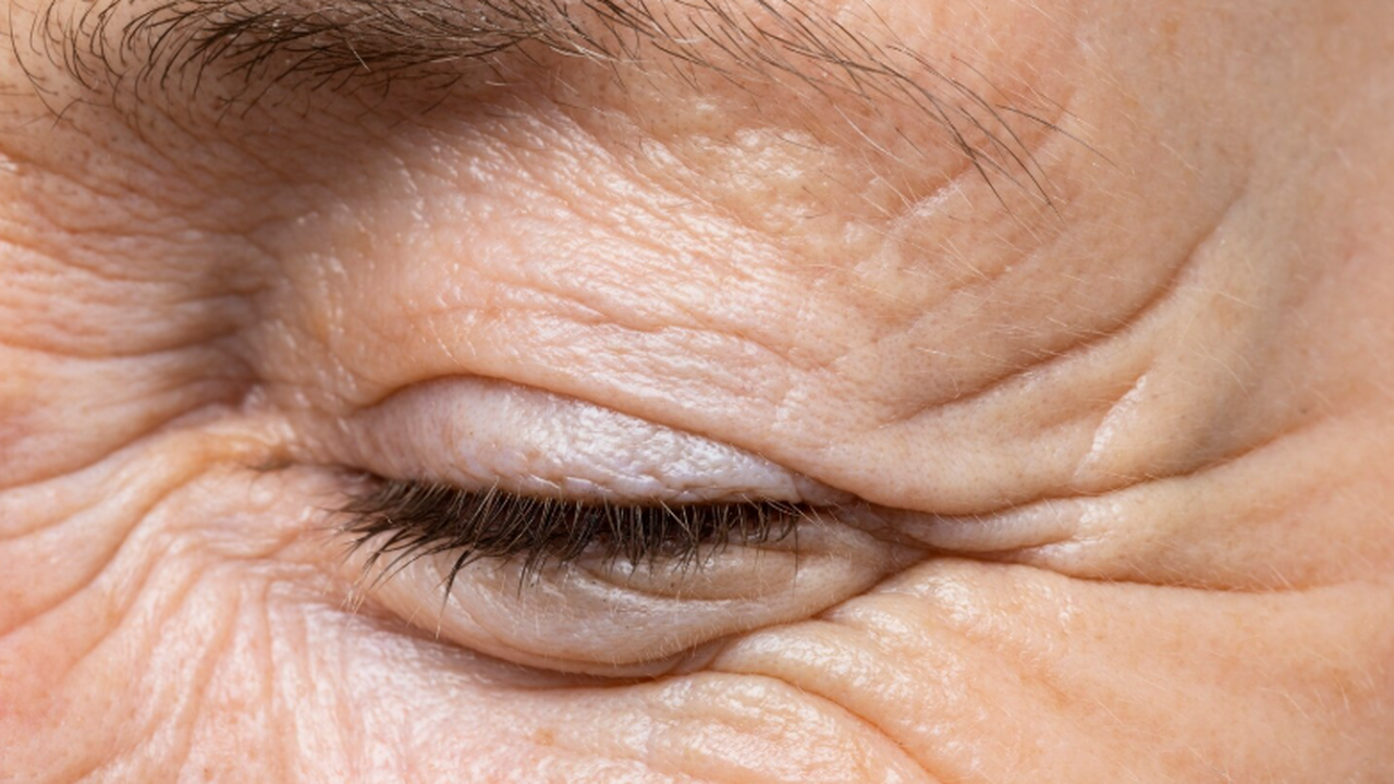 Учёные показали, что перестройка эндоплазматиче...