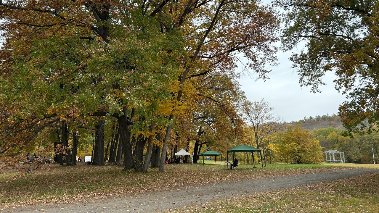 Они устанавливаются там, где чаще всего туристы...