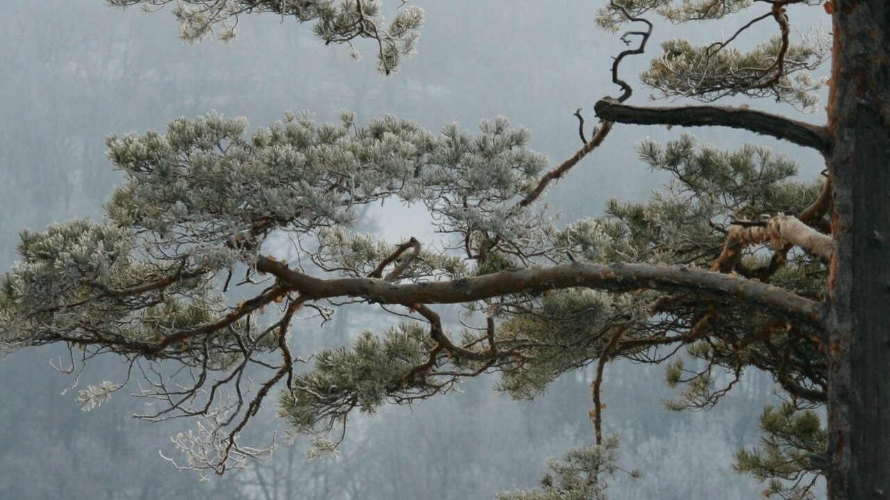 Руководство нацпарка связывает повышение цен с ...