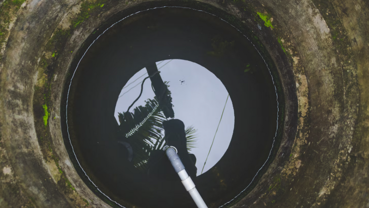 Нейросеть в связи со Всемирным днём туалета спр...