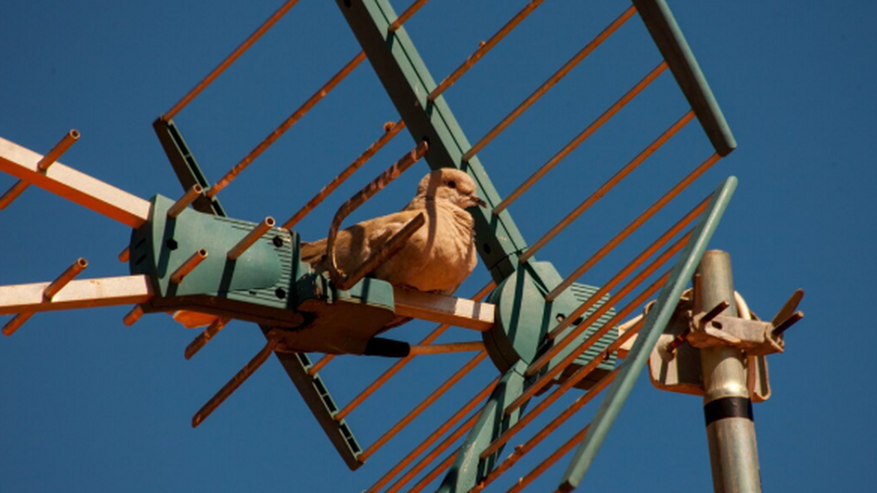 В пятницу радиостанция УВБ-76, получившая прозв...