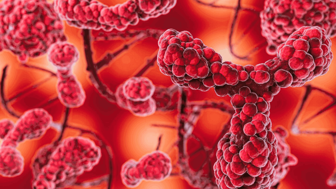 Исследование учёных Бейлора в Proceedings of th...