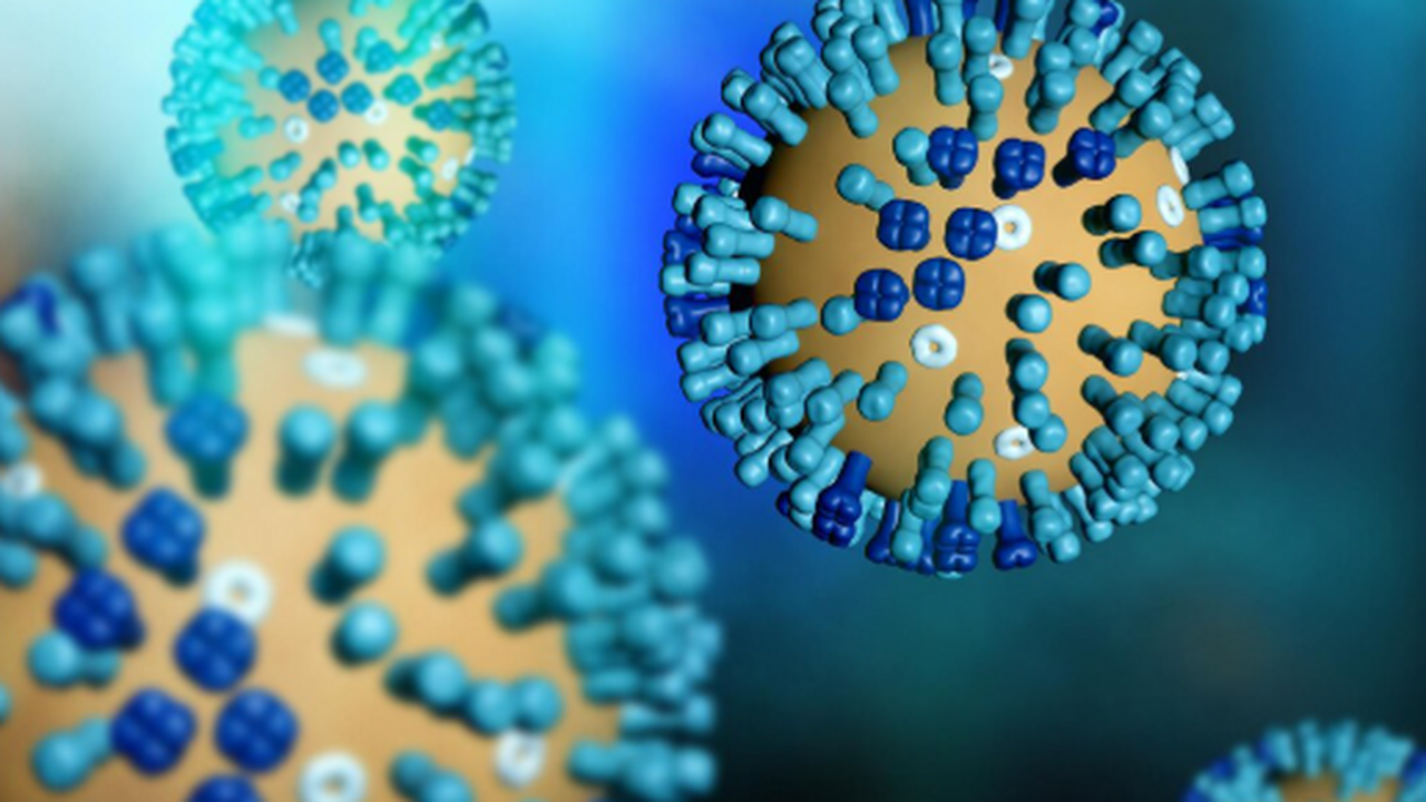 Учёные обнаружили, что коронавирусы могут прони...