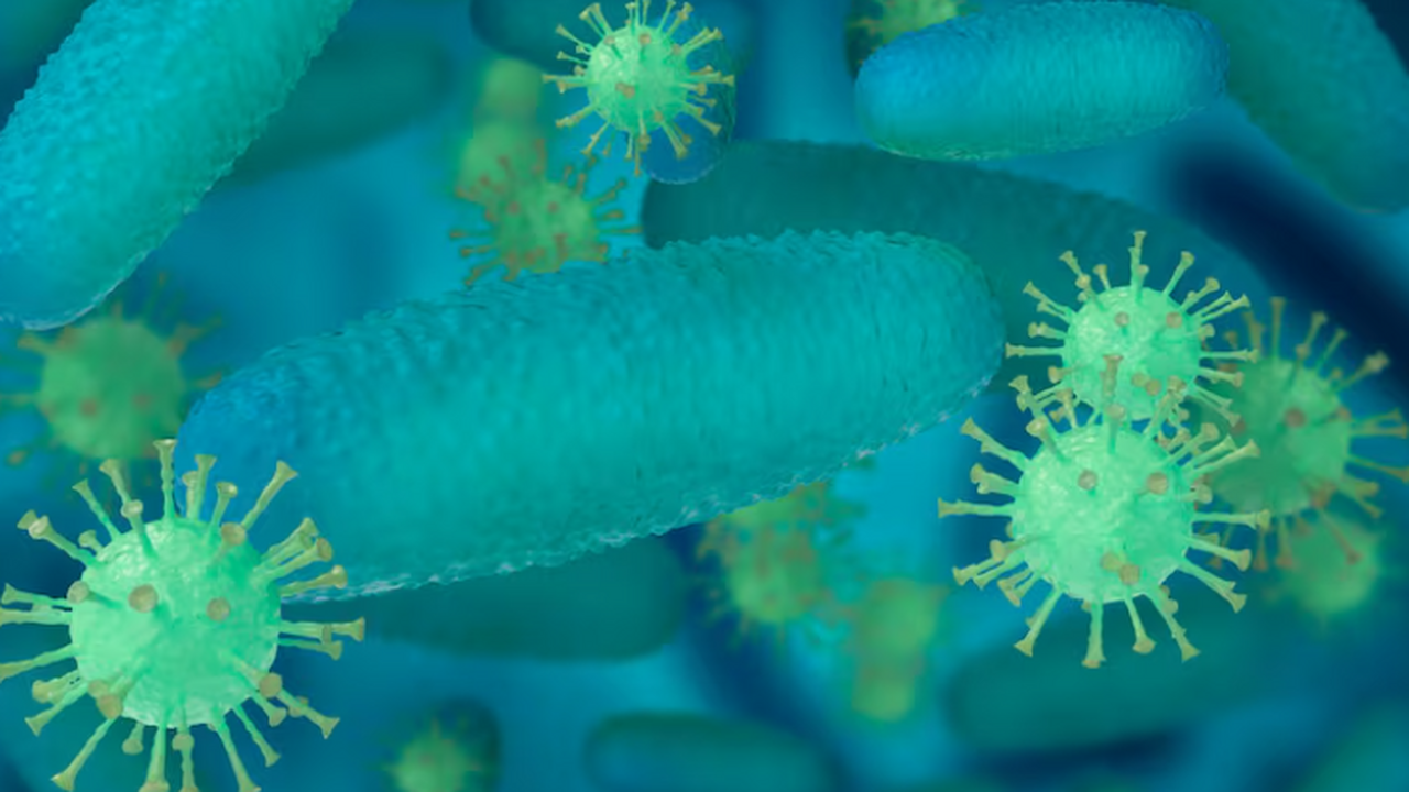 Среди приоритетных патогенов высокого уровня ВО...