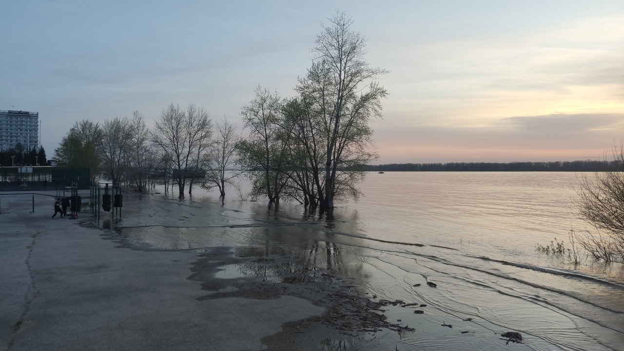 В 2025 году, по его словам, особенно ярко прояв...