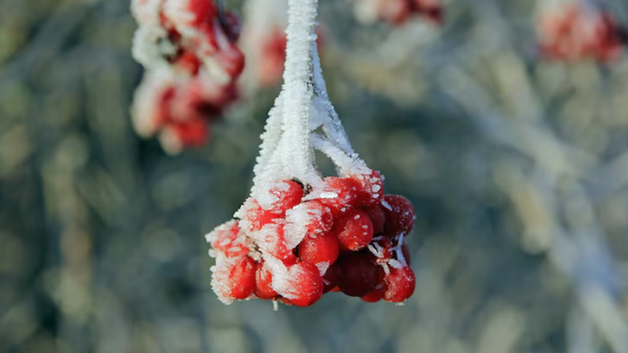 По данным Гидрометцентра России, на текущей нед...