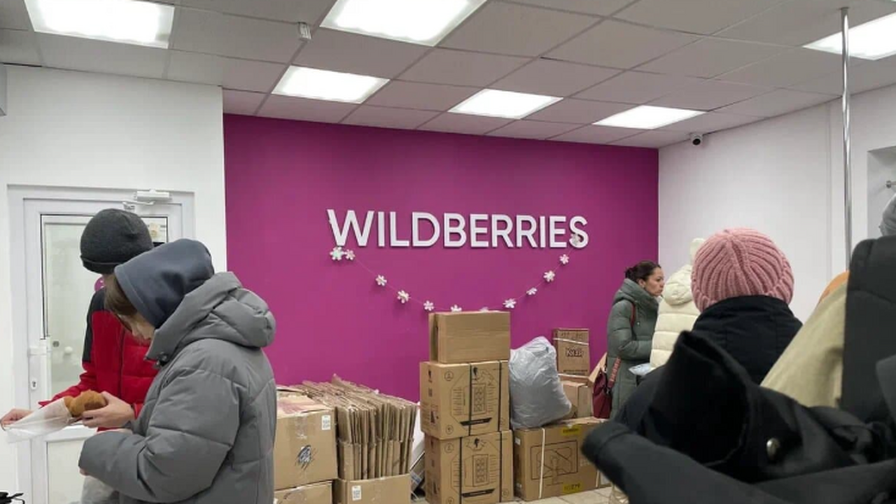 «Не вздумайте оплачивать это картой»: эксперты Роскачества предупреждают покупателей Wildberries и Ozon Мошенники атакуют через соцсети: новая схема с ...