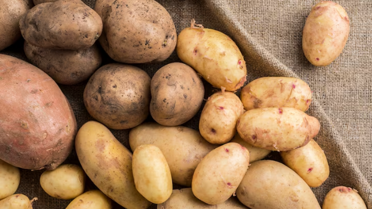 Худшие сорта картошки — не садите их ни в коем случае: водянистые, на вкус как пластик, а урожай — кот наплакал Картофель — «второй хлеб», но не всякий сорт ра...