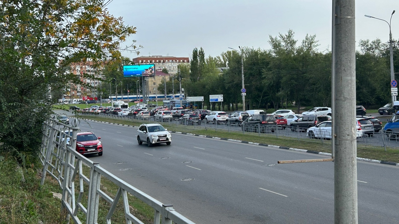 Администрация Самары объяснила, зачем поливают деревья во время дождя Дополнительный пролив проводится каждую осень