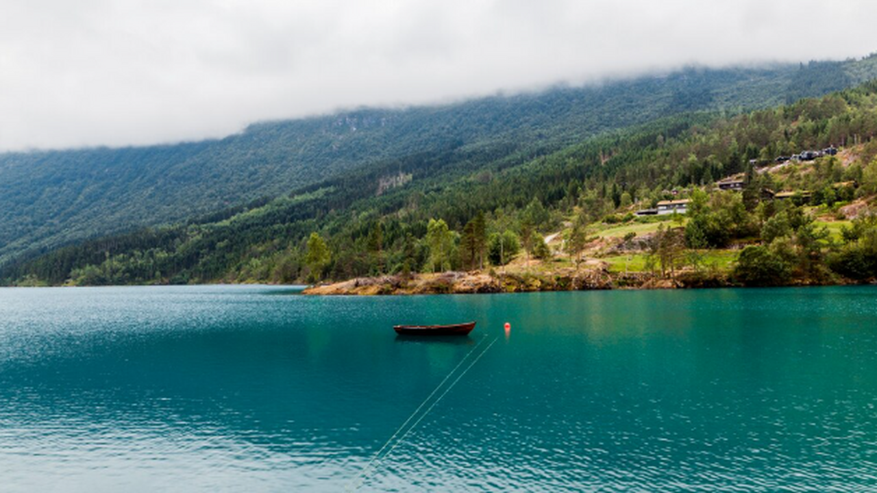 Некоторые туристы, отдыхающие в Пицунде, отмети...