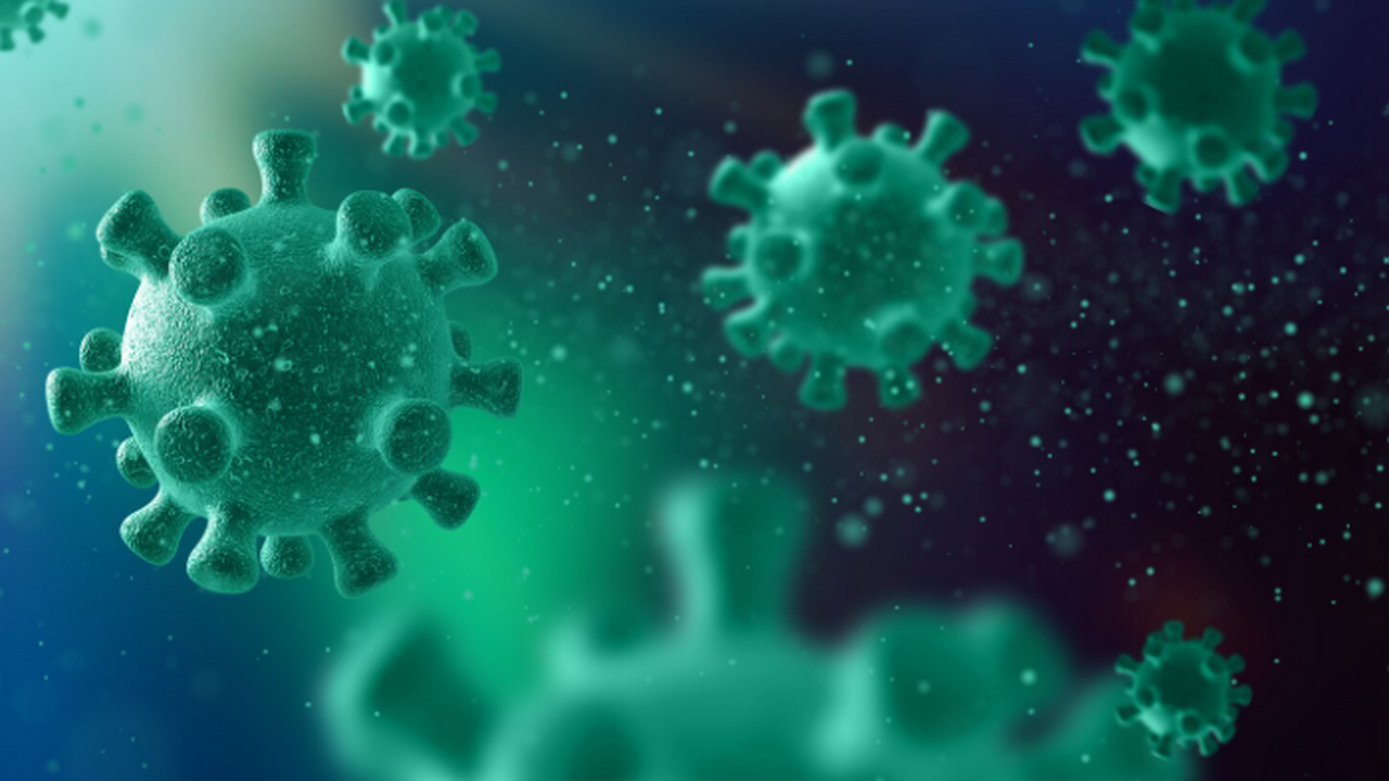 Нервные травмы запускают системное воспаление и разные болевые пути по полу Исследование показало, что повреждения нервов ф...