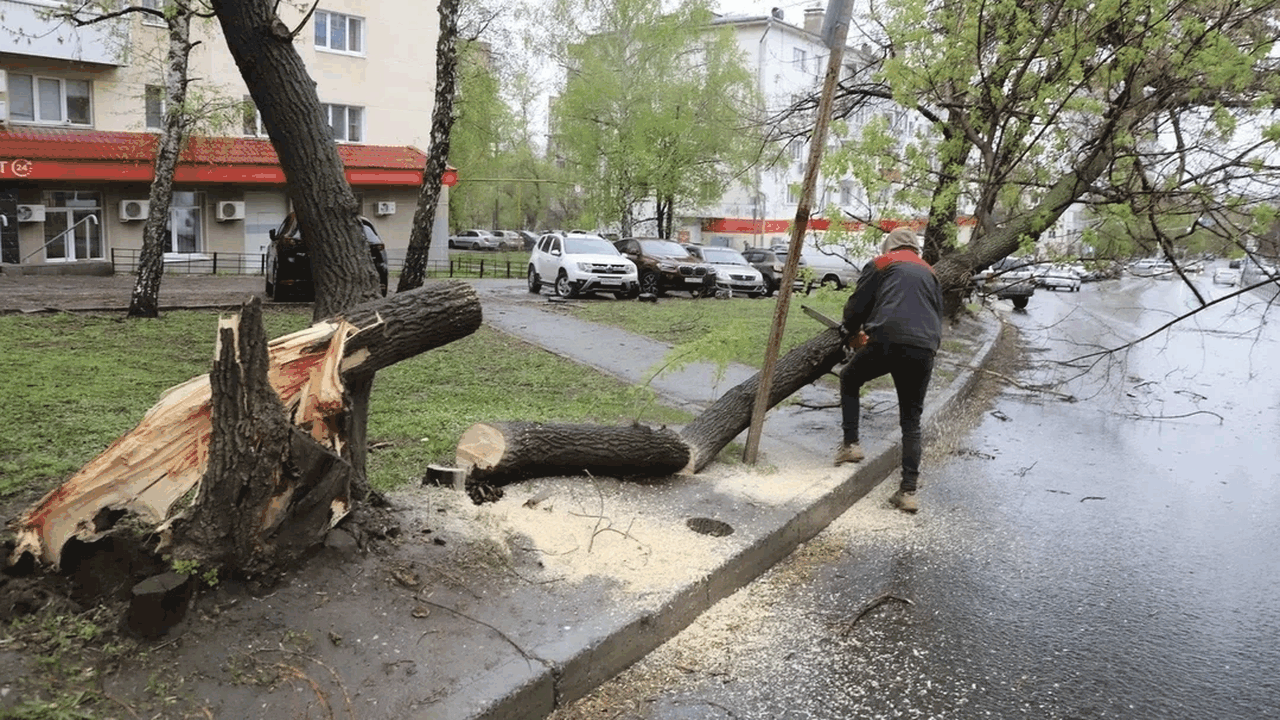 Мэр Самары Иван Носков рассказал, почему в горо...