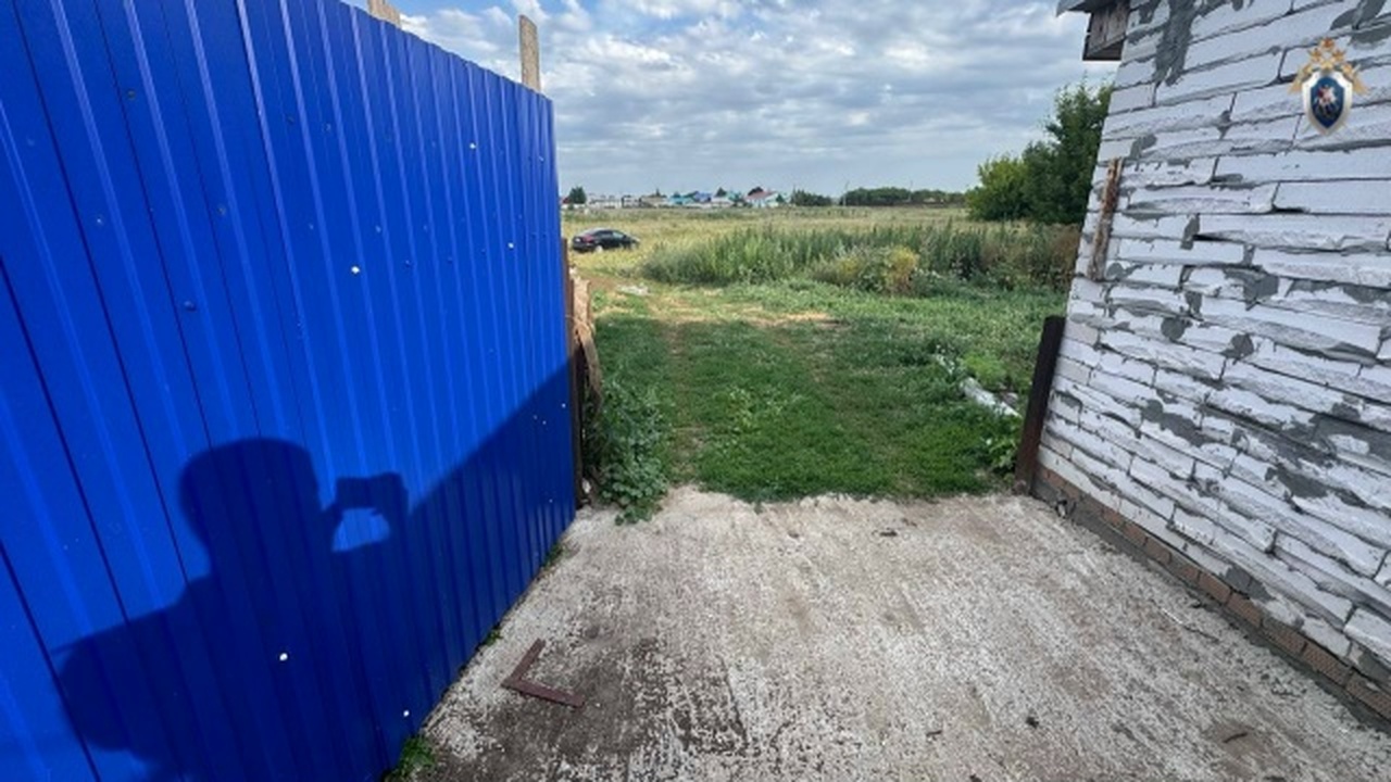 Ссора закончилась выстрелом: житель Самарской области осужден за убийство Суд в Новокуйбышевске вынес обвинительный приговор