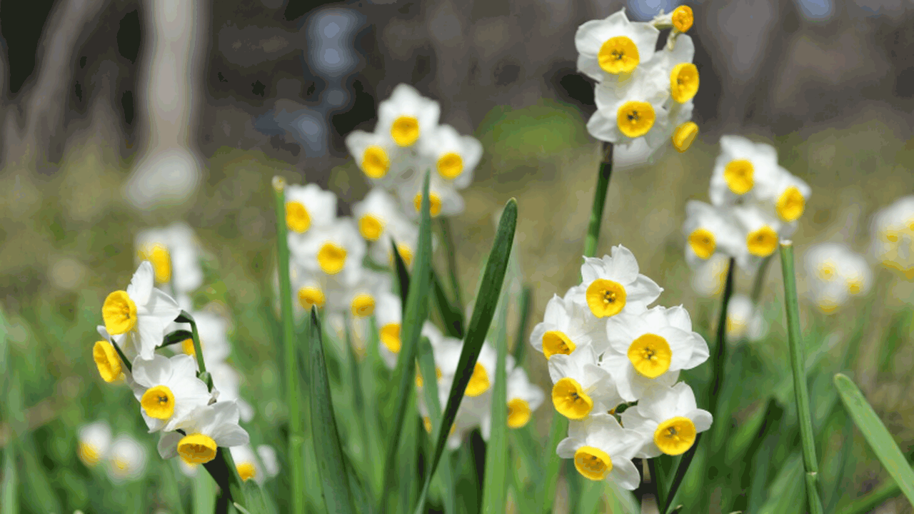 Учёные из Мюнстера установили, что нарциссизм н...