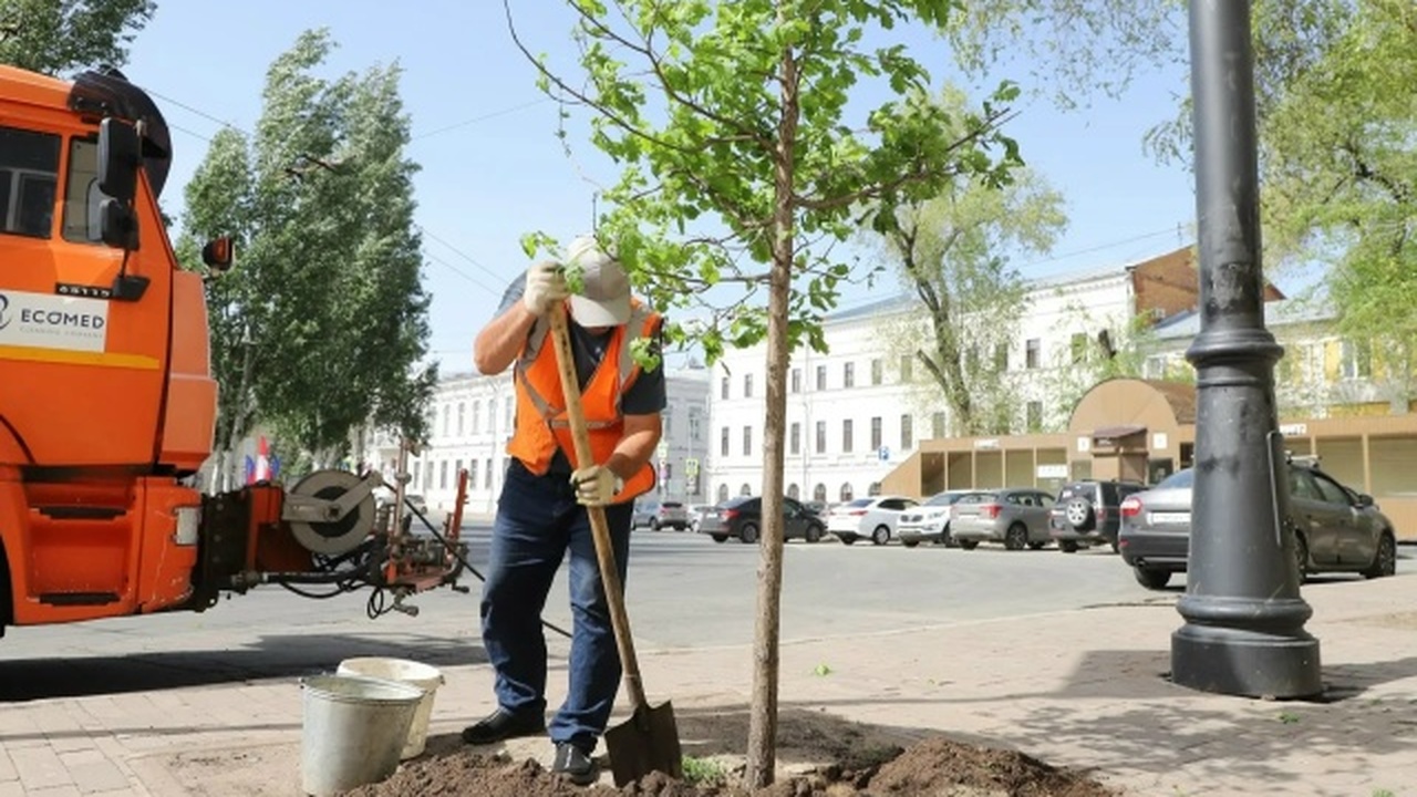 В Самаре продолжаются работы по озеленению горо...