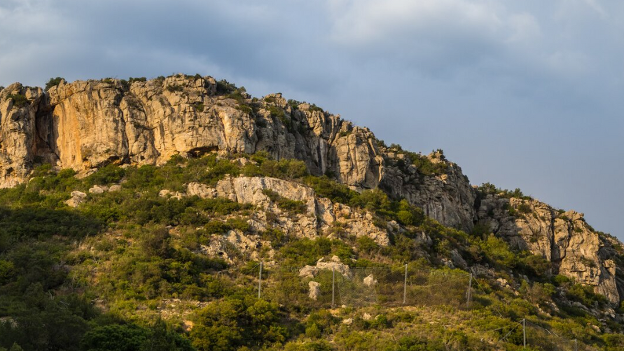 После землетрясения в Японии 2011 года Приморье...