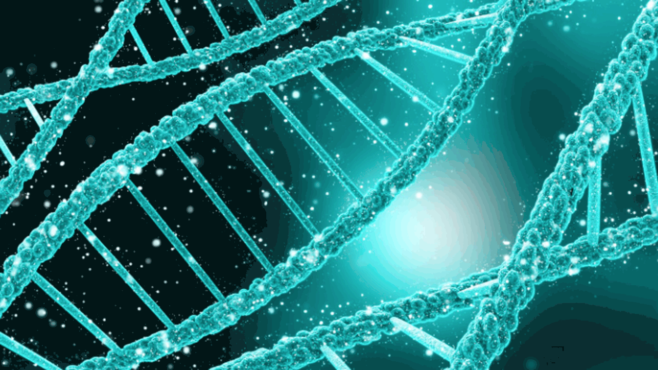 Исследование близнецов, опубликованное Science ...