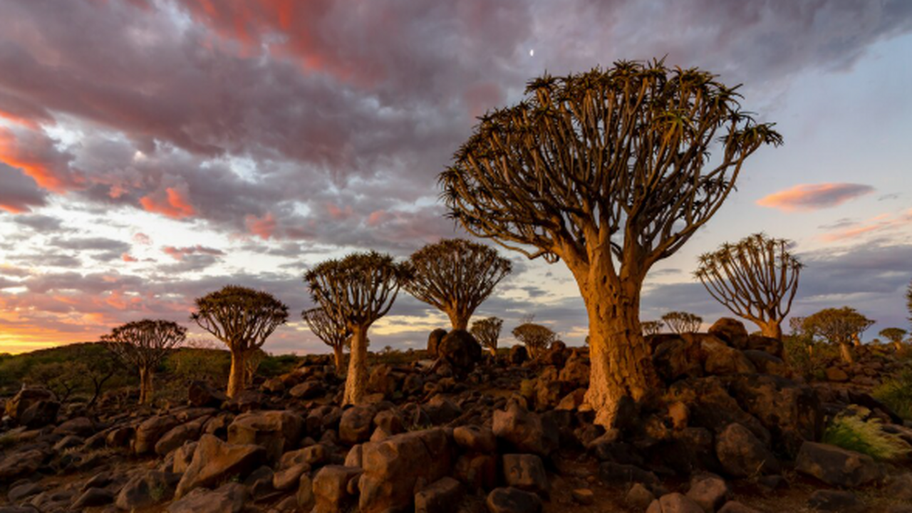 Туроператоры ждут роста спроса на Танзанию при прямых авиарейсах Российские туроператоры прогнозируют увеличение...