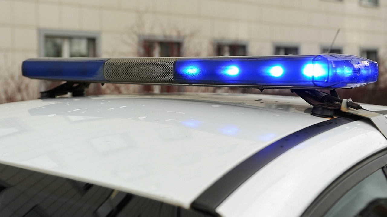 В Самаре проводят проверку после гибели 13-летней девочки на шведской стенке В Самаре начата проверка после гибели 13-летней...