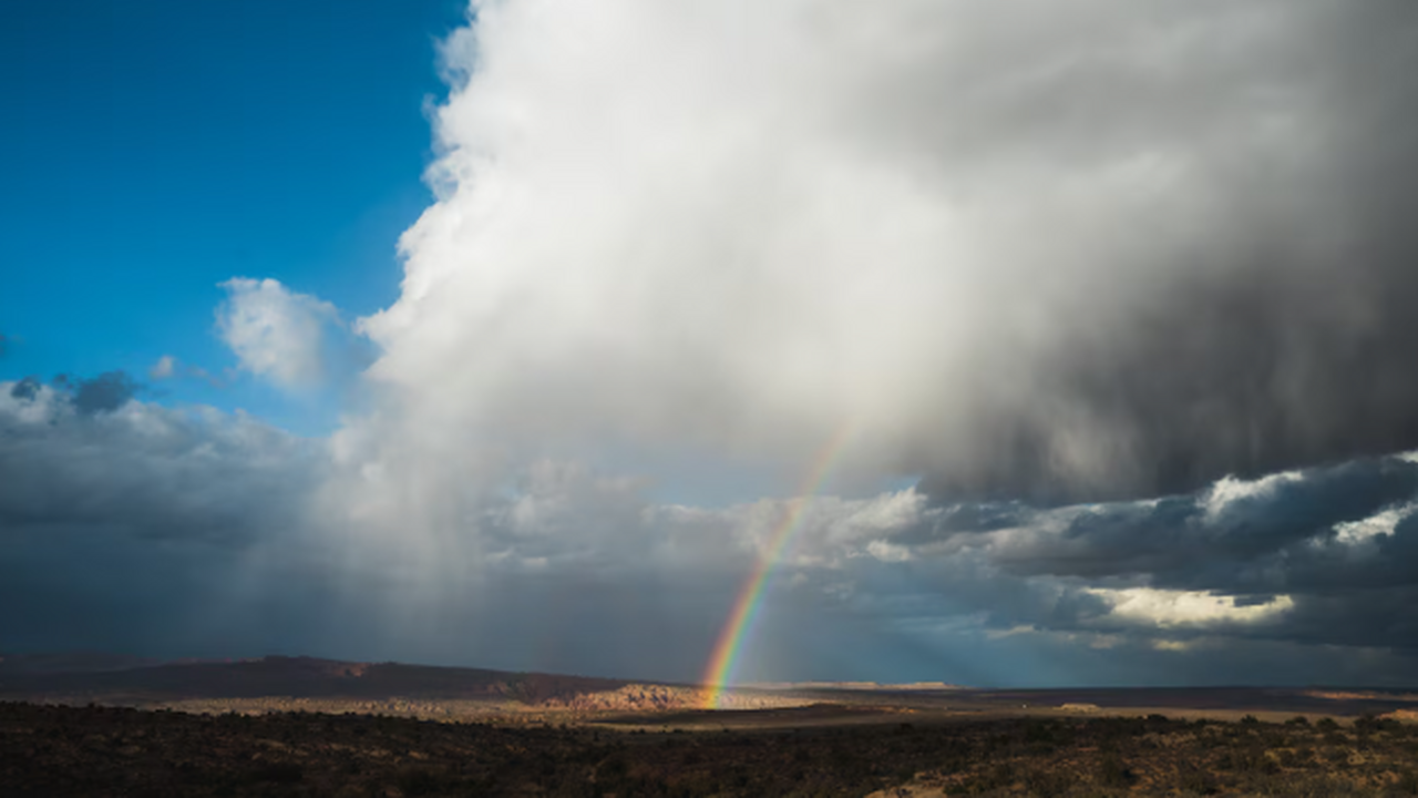 Три подсказки от природы: какой станет зима 2025−2026 года - предсказывают народные приметы Как природа прогнозирует зиму: 3 признака в лес...