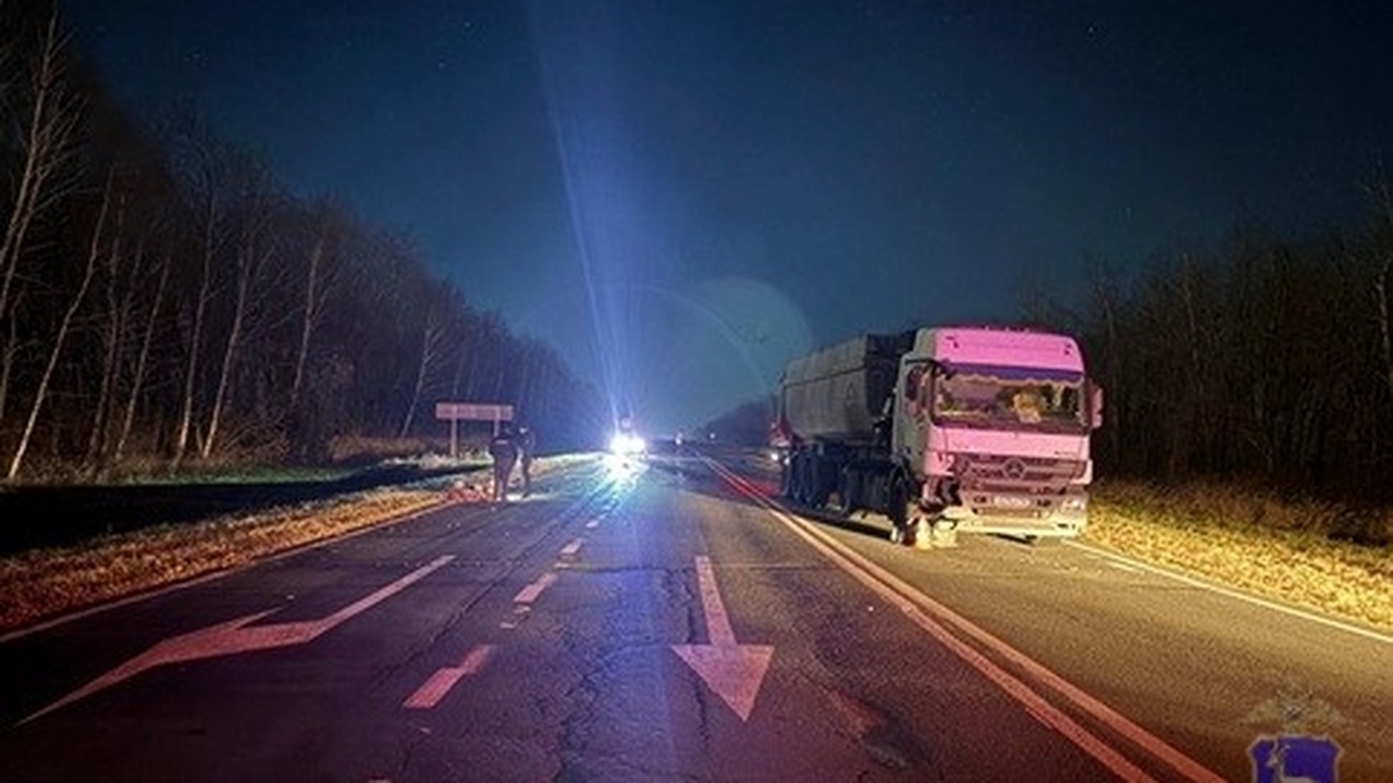 Два пешехода погибли после наезда грузовика в Самарской области Мужчина погиб до приезда бригады скорой помощи....