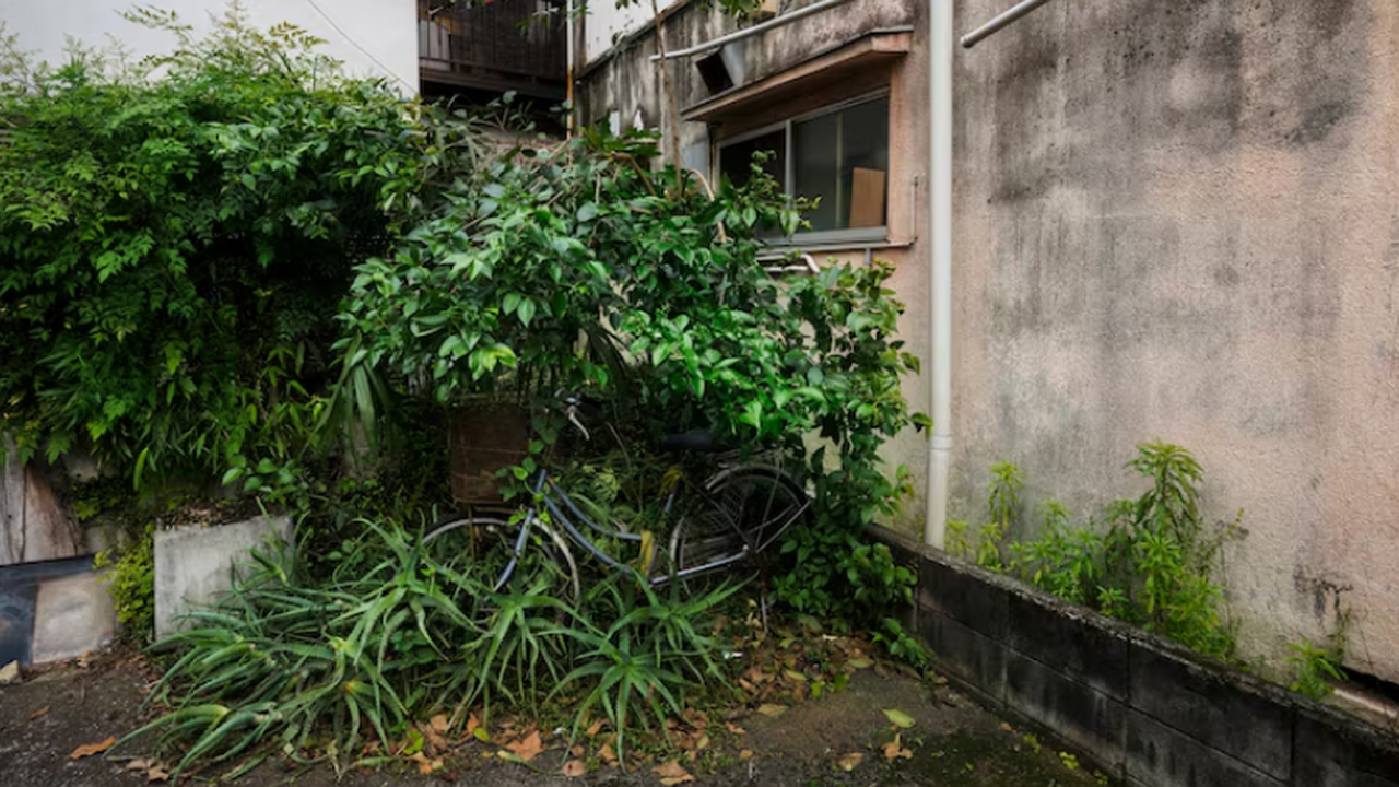 Новое исследование показало, что пестициды пода...