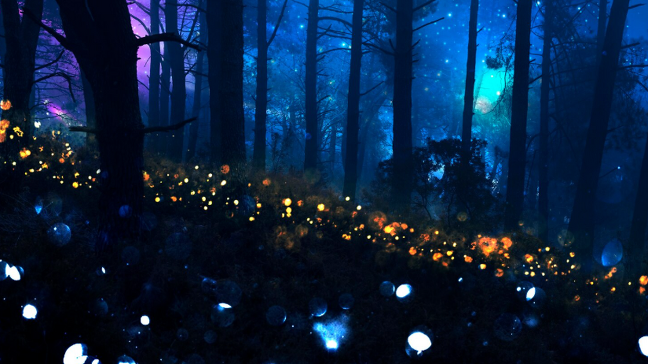 Исследователи предложили новый подход к поиску ...