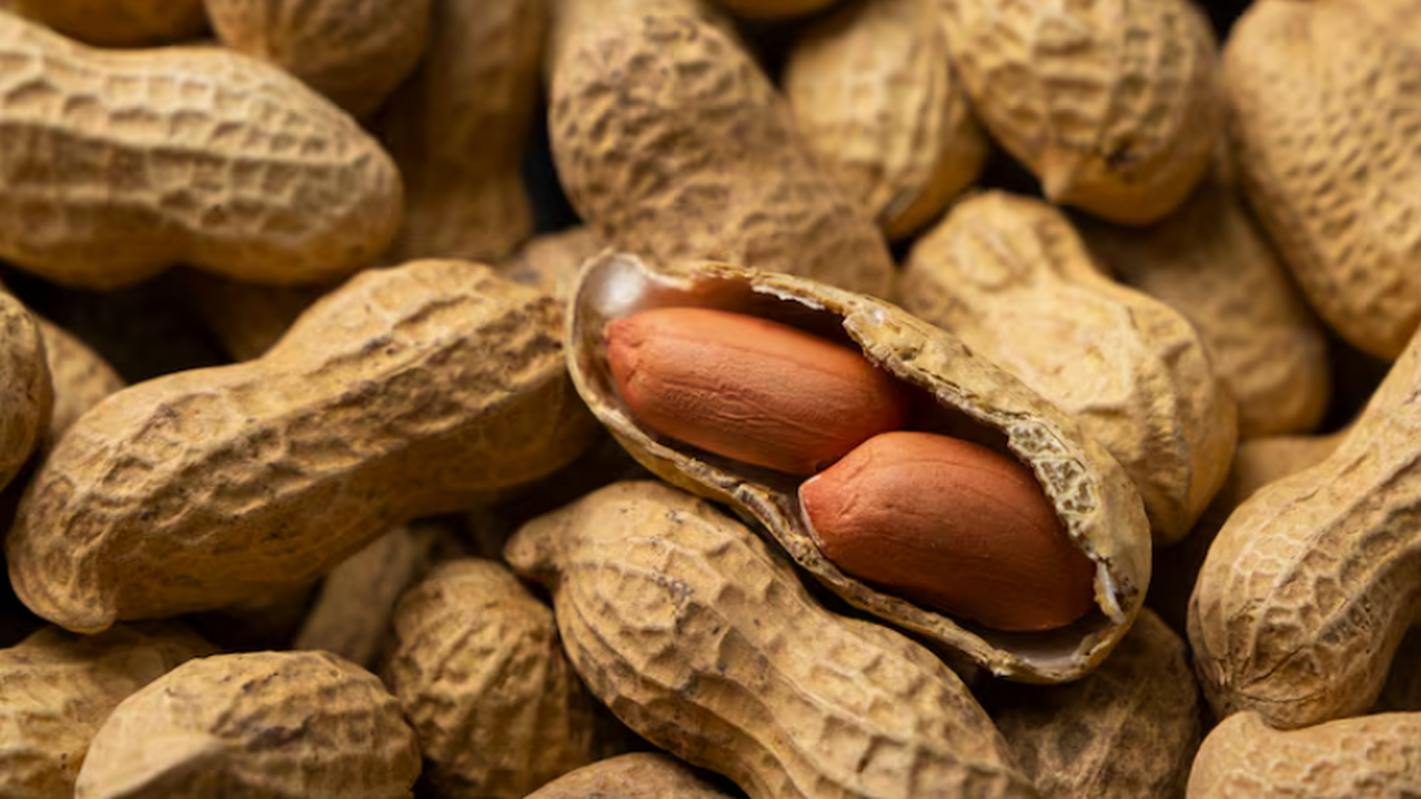 Маастрихтское исследование: арахис улучшил мозговой кровоток за 16 недель Группа Маастрихтского университета провела клин...