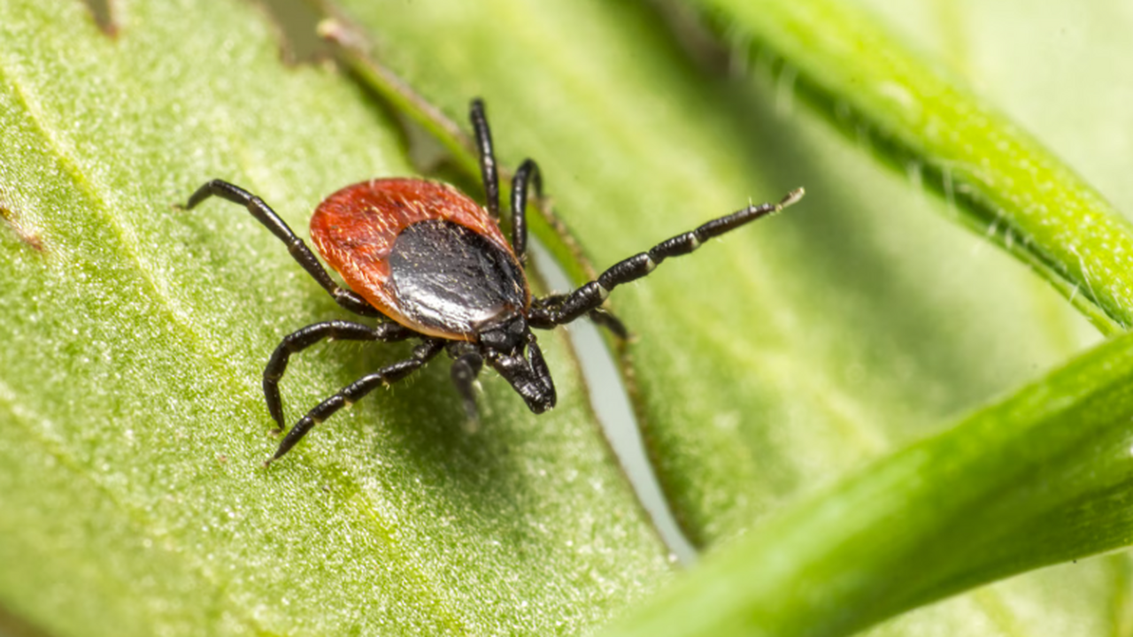 Минздрав Башкирии рассказал, как действовать пр...