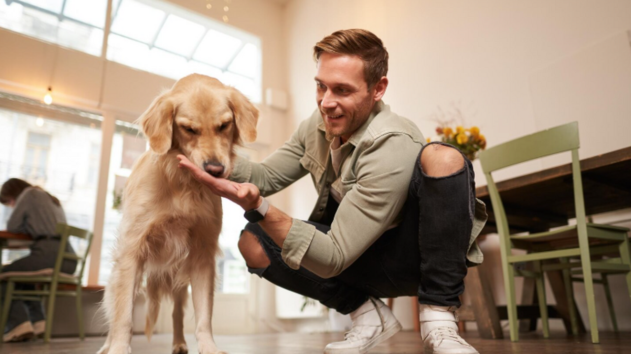 Новая клещевая инфекция, выявленная у собаки в ...