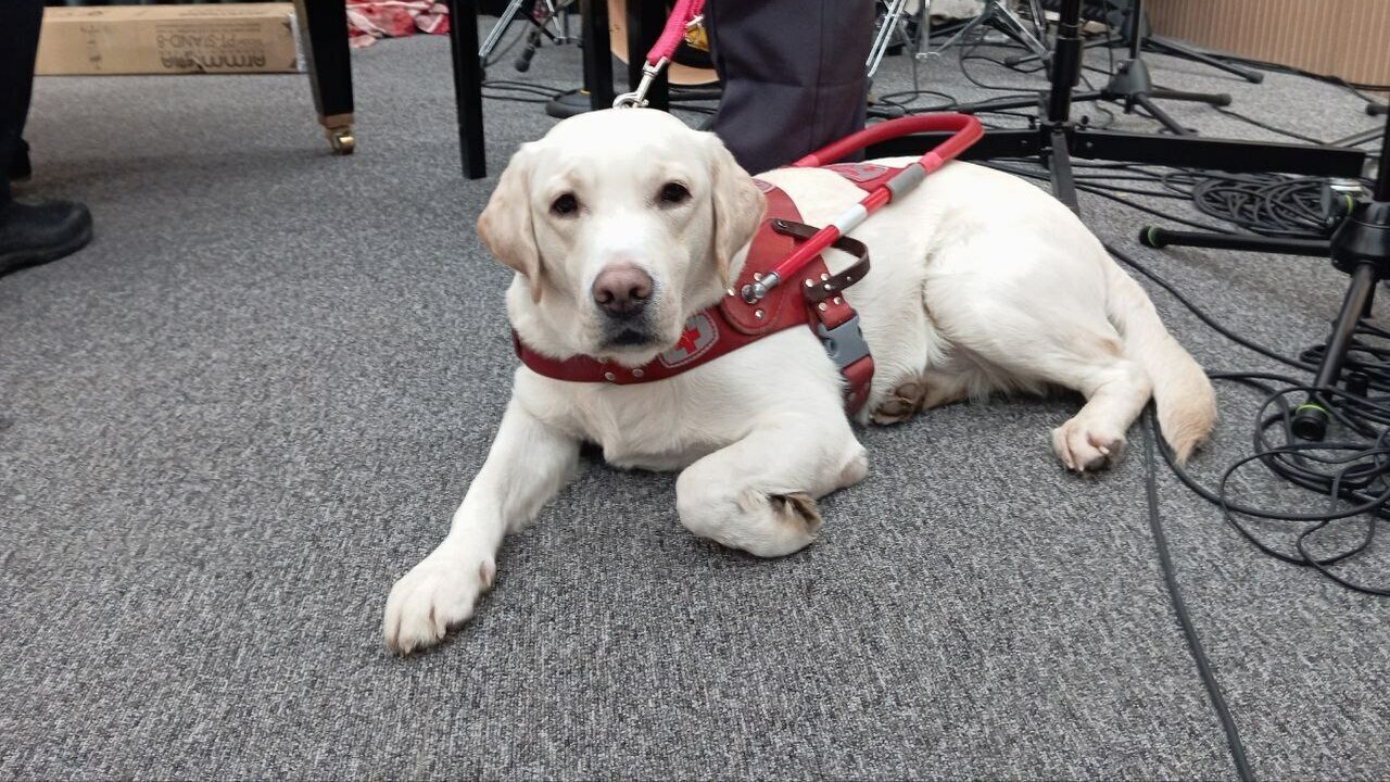 Размер выплаты составляет 27,2 тысячи рублей