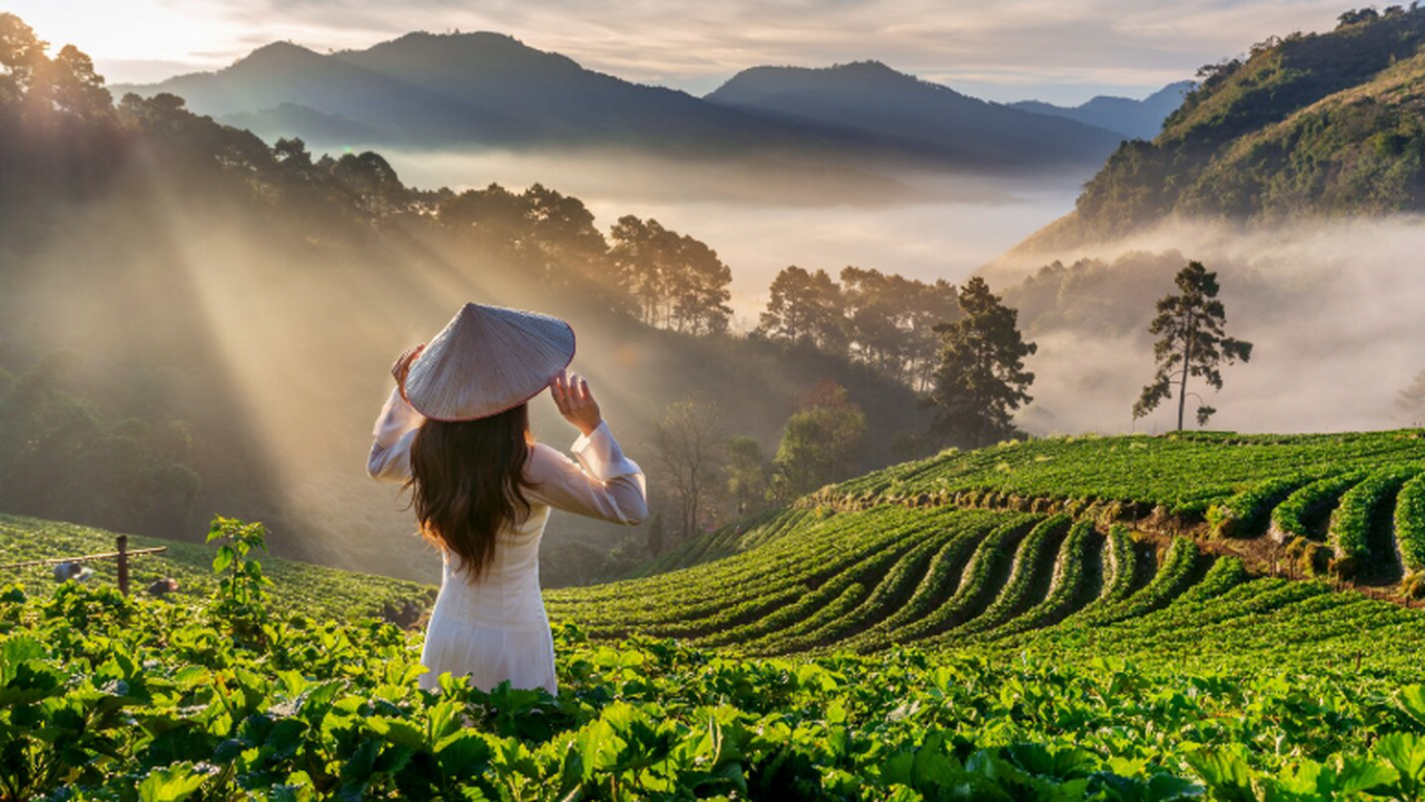 Сервис Travelata сообщил, что в 2026 году отпус...