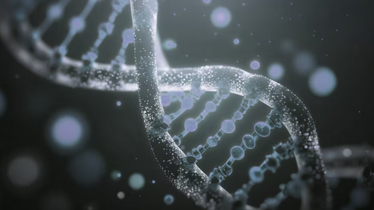 Российские исследователи впервые смогли восстан...