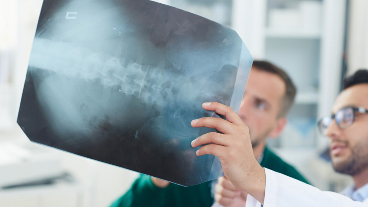 «Ударился пальцем — сломал шею»: случай Пола Энглисса вывел на рак крови 62‑летний Пол Энглисс сначала считал боли в поя...