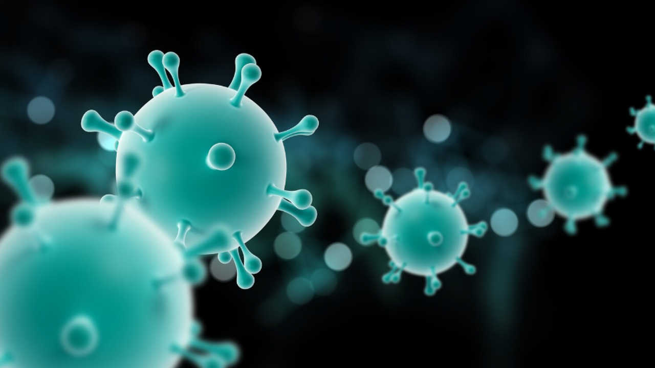 По информации Роспотребнадзора, в России не выя...