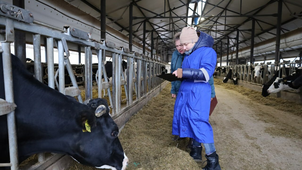 «Кадры в АПК» в действии: молодые учёные Самарской области внедряют разработки в сельское хозяйство Молодые учёные Самарского государственного агра...