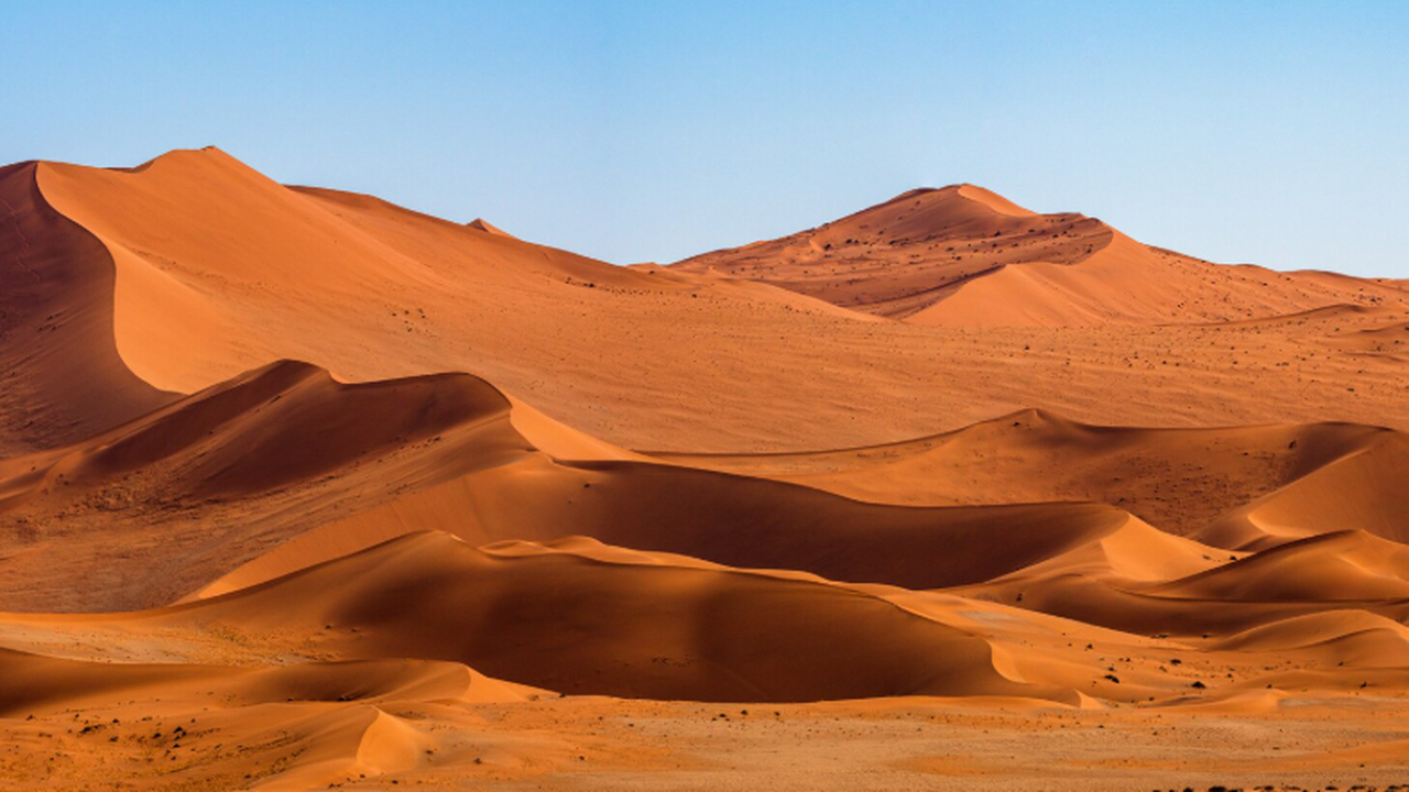 Канадские и американские ученые выяснили, что о...