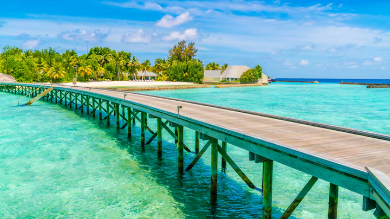 «Турдом»: россиянам пришлось срочно бежать с рекламного острова на Мальдивах Группа туристов что вынуждена была досрочно пок...