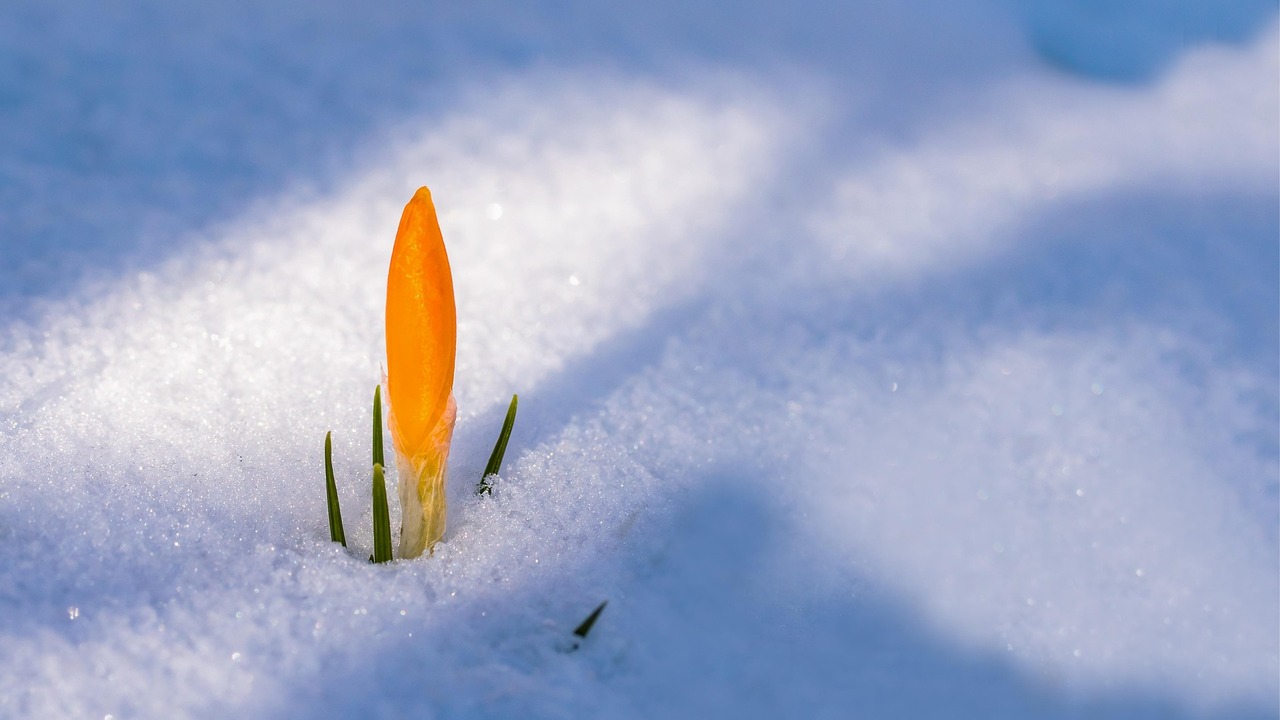 В Самарской области астрономическая весна наступит 20 марта вечером Специалисты Московского планетария сообщили о в...