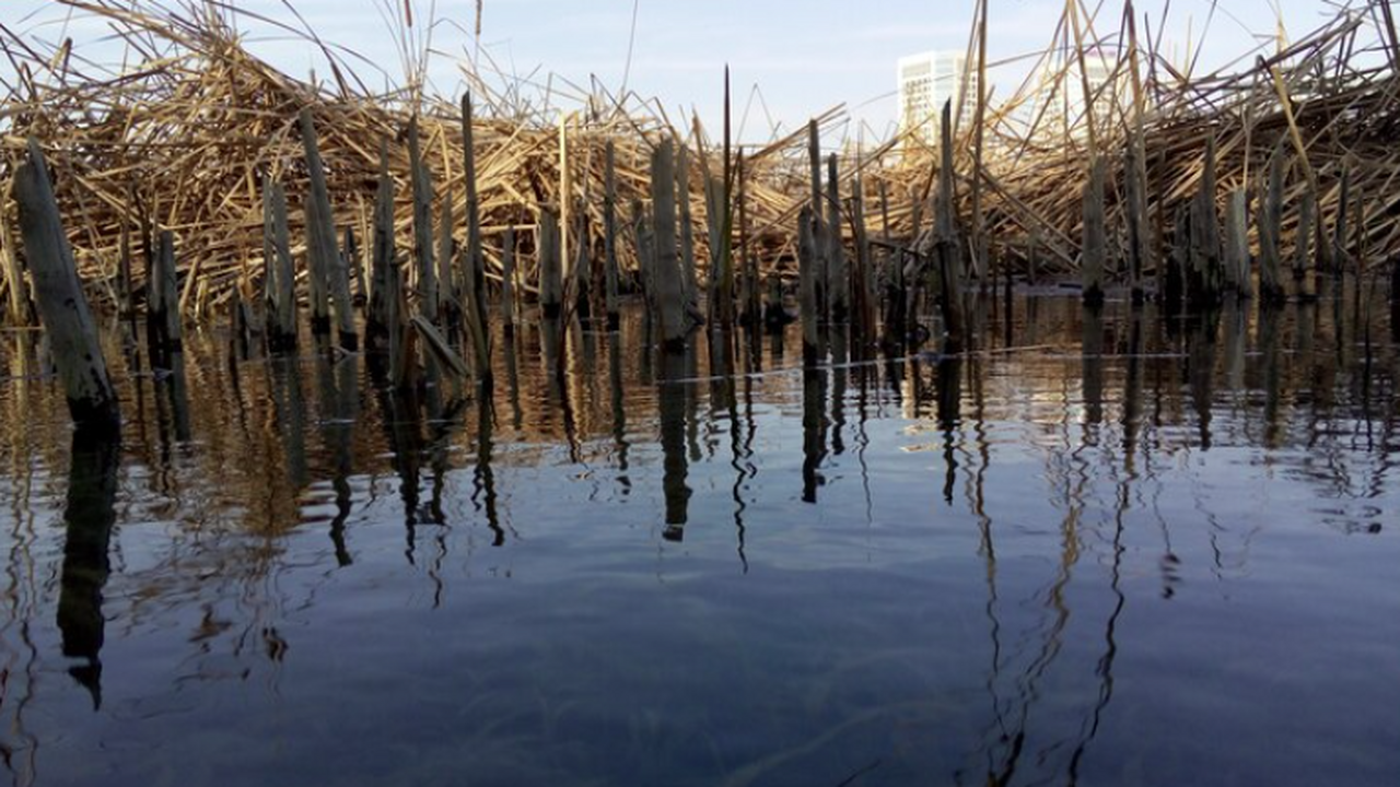 Эксперты назвали причины ограничения доступа на территории Мазутных озер Самары В Кировском районе городского округа Самара вве...