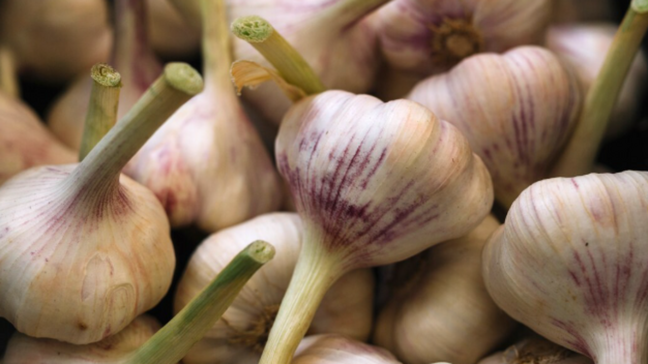 Китайские исследователи установили, что чеснок ...