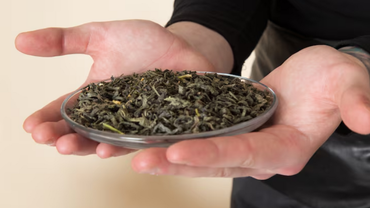 Ученые создали генетическую карту морозостойкос...