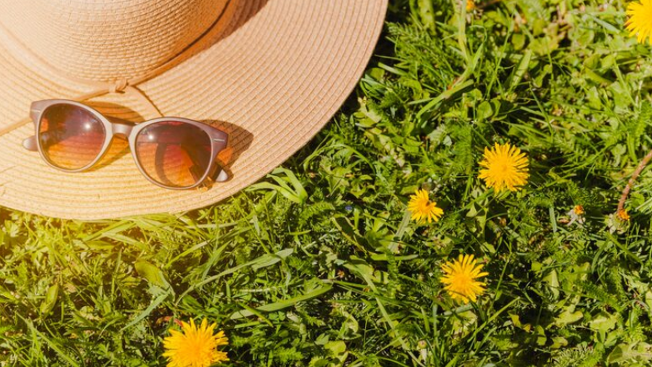 Группа климатологов показала, что к концу текущ...