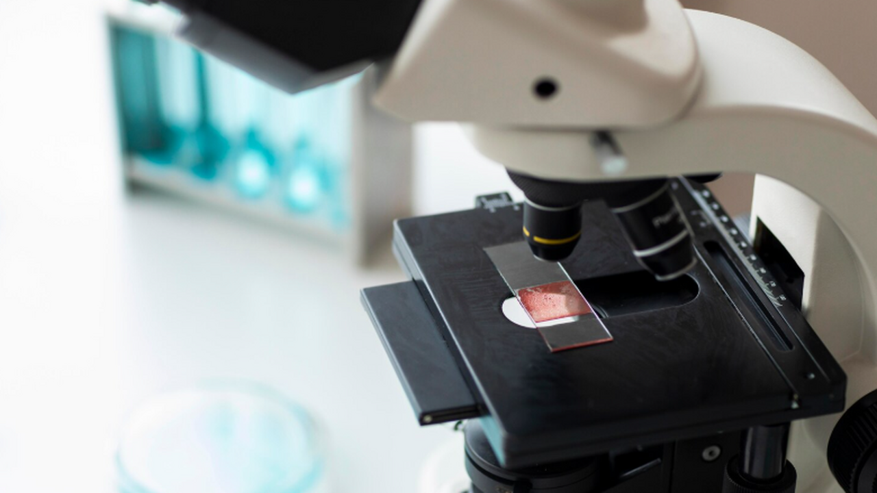 Одним из главных инструментов для оценки состоя...